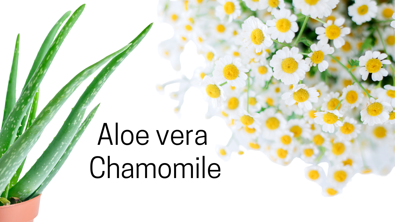 Are natural ingredients like Aloe Vera and Chamomile effective in calming stressed skin? bentica.