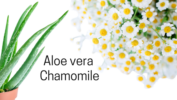 Are natural ingredients like Aloe Vera and Chamomile effective in calming stressed skin? bentica.