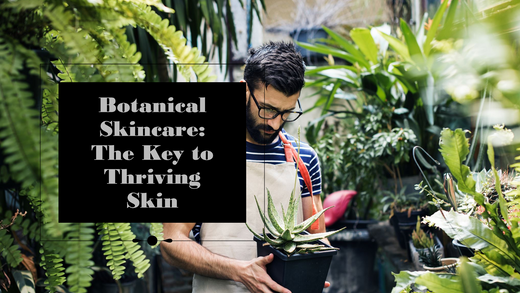 Botanical skincare ingredients in Bentica products