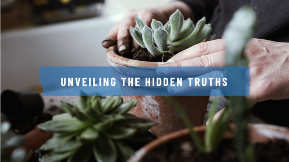 The Hidden Truths About 'Just Botanicals' and Why They Might Be Failing Your Skin