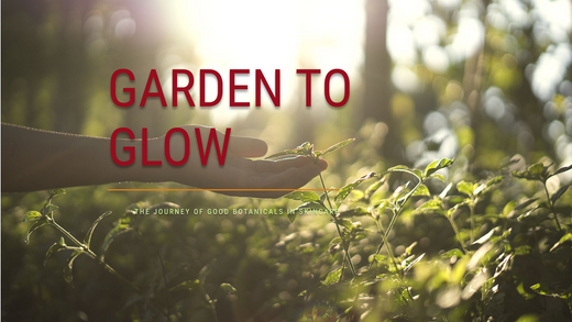 From Garden to Glow: The Journey of Good Botanicals in Skincare