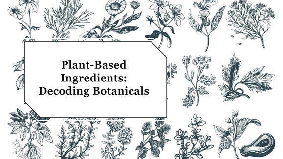 Decoding Botanicals: Are All Plant-Based Ingredients Created Equal?