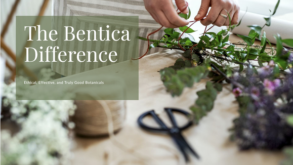 The Bentica Difference: Ethical, Effective, and Truly Good Botanicals