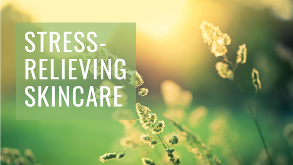 Bentica’s botanical skincare range