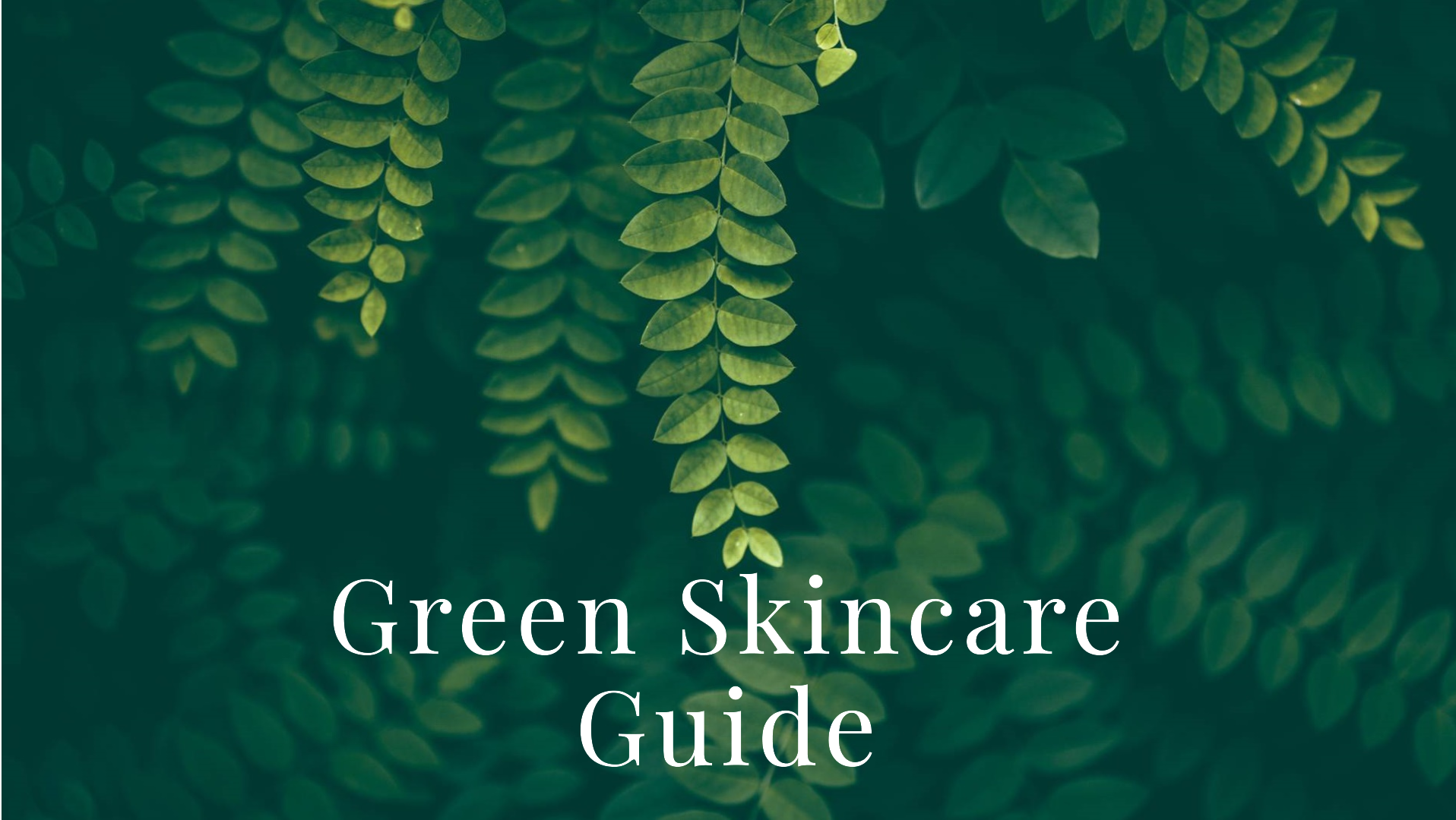 Illustration of greenwashing in skincare misleading eco-friendly claims vs. genuine transparency
