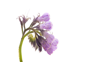Allantoin skincare benefits – hydration, soothing, and repair for radiant skin