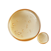 Two round containers with beige liquid and bubbles on a white background
